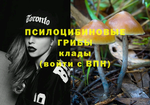 бошки Осинники