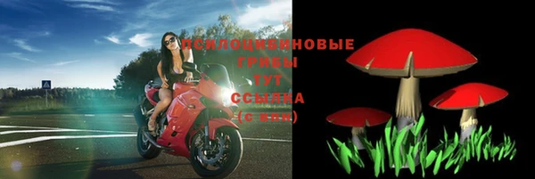 бошки Осинники