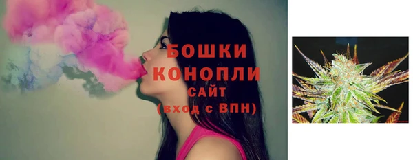 бошки Осинники