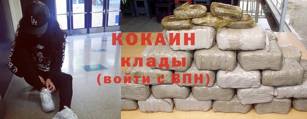 бошки Осинники